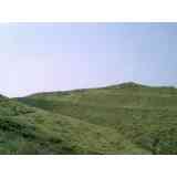 Click para ampliar. Pulsa en el nombre para ver la ficha. monte do castelo