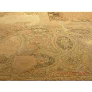 Click para ampliar. Pulsa en el nombre para ver la ficha. Torre da Palma - Monforte, Portugal