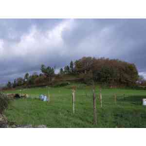 Click para ampliar. Pulsa en el nombre para ver la ficha. Castro de Teiquesoi