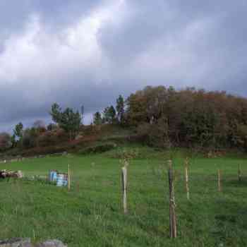 Click para ampliar. Pulsa en el nombre para ver la ficha. Castro de Teiquesoi