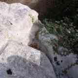 Click para ampliar. Detalle del embudo del posible altar-Maside