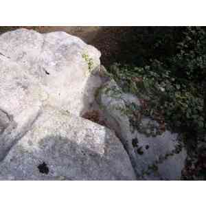 Click para ampliar. Pulsa en el nombre para ver la ficha. Detalle del embudo del posible altar-Maside