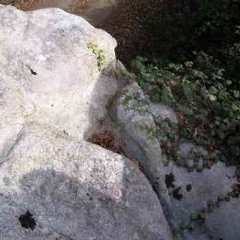 Click para ampliar. Pulsa en el nombre para ver la ficha. Detalle del embudo del posible altar-Maside