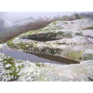 Click para ampliar. Pulsa en el nombre para ver la ficha. Tumbas del siglo V ¿suevas, visigoticas?