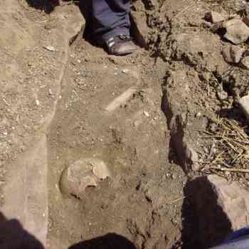 Click para ampliar. Pulsa en el nombre para ver la ficha.