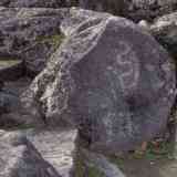 Petroglifo-Pedra da Serpe. Castro da Troña