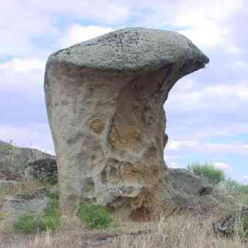 Click para ampliar. Pulsa en el nombre para ver la ficha. Bull Stone