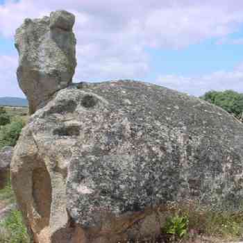 Click para ampliar. Pulsa en el nombre para ver la ficha. Peña de la tortuga