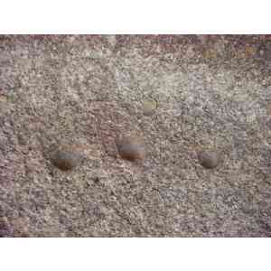 Click para ampliar. Pulsa en el nombre para ver la ficha. Cazoletas de Los Barruecos 2