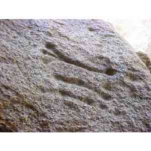 Click para ampliar. Pulsa en el nombre para ver la ficha. Cazoletas de Los Barruecos 1