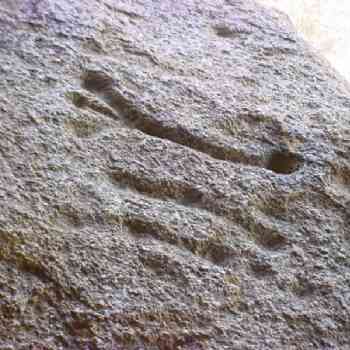 Click para ampliar. Pulsa en el nombre para ver la ficha. Cazoletas de Los Barruecos 1