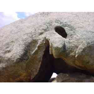 Click para ampliar. Pulsa en el nombre para ver la ficha. Taffoni con orificio erosivo