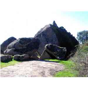 Click para ampliar. Pulsa en el nombre para ver la ficha. Dinosaurio sin cabeza