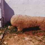 Click para ampliar. León o Verraco de Guadalupe