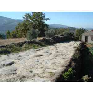 Click para ampliar. Pulsa en el nombre para ver la ficha. Calzada