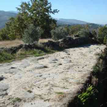 Click para ampliar. Pulsa en el nombre para ver la ficha. Calzada