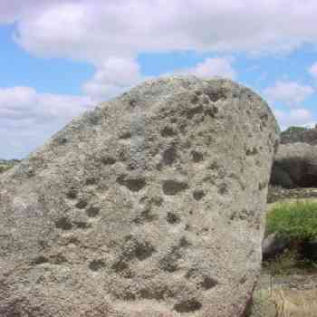 Click para ampliar. Pulsa en el nombre para ver la ficha. Roca granítica alveolada