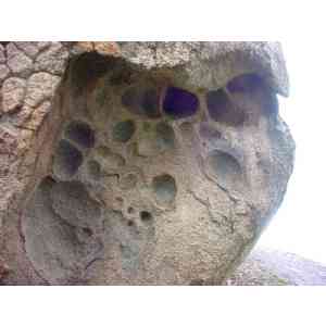 Click para ampliar. Pulsa en el nombre para ver la ficha.  Taffoni con alveolos