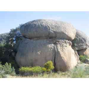 Click para ampliar. Pulsa en el nombre para ver la ficha. Hongo petreo: