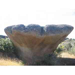 Click para ampliar. Pulsa en el nombre para ver la ficha. Roca en seta con rillen