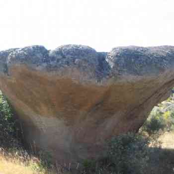 Click para ampliar. Pulsa en el nombre para ver la ficha. Roca en seta con rillen