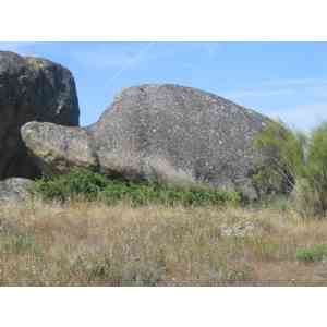 Click para ampliar. Pulsa en el nombre para ver la ficha.