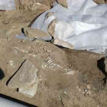 Click para ampliar. Pulsa en el nombre para ver la ficha. sieteiglesias5