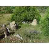 Click para ampliar. Pulsa en el nombre para ver la ficha. Dolmen de la Mina (1)