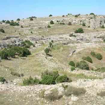 Click para ampliar. Pulsa en el nombre para ver la ficha. Paisaje del Mugrón de Meca