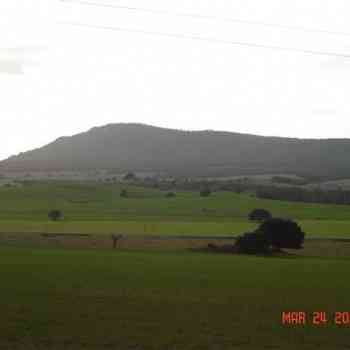 Click para ampliar. Pulsa en el nombre para ver la ficha. Paisaje Ayora