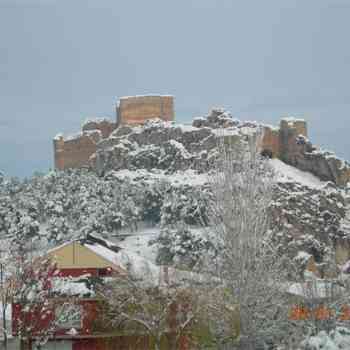 Click para ampliar. Pulsa en el nombre para ver la ficha. Nevada en Ayora