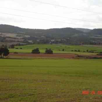 Click para ampliar. Pulsa en el nombre para ver la ficha. Paisaje Vega de Ayora