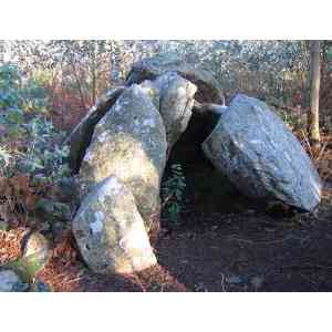 Click para ampliar. Pulsa en el nombre para ver la ficha. Anta de Serramo