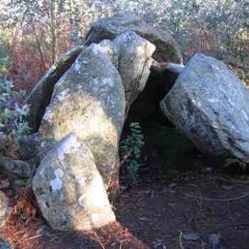 Click para ampliar. Pulsa en el nombre para ver la ficha. Anta de Serramo