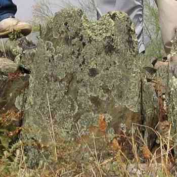 Click para ampliar. Pulsa en el nombre para ver la ficha. Lancha de cabecera de Cerro Garrote