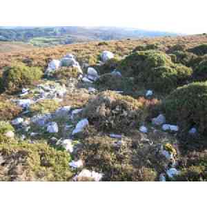 Click para ampliar. Pulsa en el nombre para ver la ficha. Círculo lítico de O Freixo