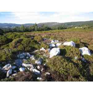 Click para ampliar. Pulsa en el nombre para ver la ficha. Círculo lítico de O Freixo 2