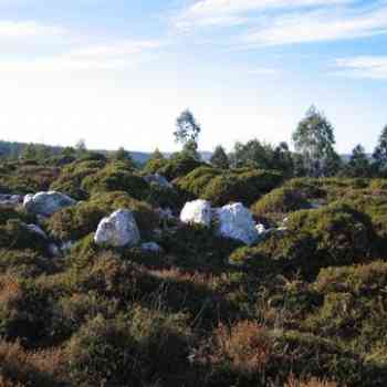 Click para ampliar. Pulsa en el nombre para ver la ficha. Círculo lítico de O Freixo 3