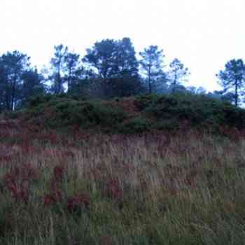 Click para ampliar. Pulsa en el nombre para ver la ficha. Medoña del cruceiro da Loba