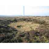 Click para ampliar. Pulsa en el nombre para ver la ficha. Pena Branca