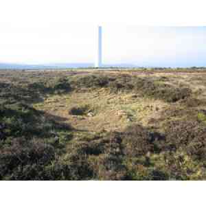 Click para ampliar. Pulsa en el nombre para ver la ficha. Pena Branca