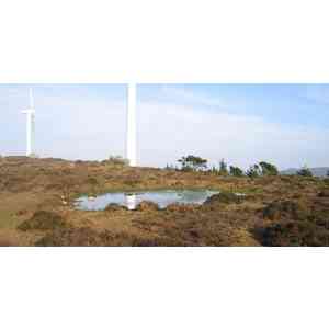 Click para ampliar. Pulsa en el nombre para ver la ficha. Pena Branca 5