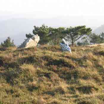 Click para ampliar. Pulsa en el nombre para ver la ficha. Pena Branca 6