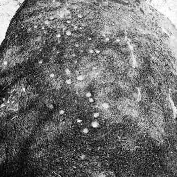 Click para ampliar. Pulsa en el nombre para ver la ficha. Covinhas na Anta do Zambujeiro