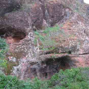 Click para ampliar. Pulsa en el nombre para ver la ficha. Valdecanales 8