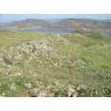 Click para ampliar. Pulsa en el nombre para ver la ficha. Giribaile. Muralla oretana 2.