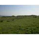 Click para ampliar. Pulsa en el nombre para ver la ficha. Giribaile. Muralla oretana.