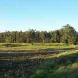 Click para ampliar. Leira das Ermidas, lugar en el que se levantó la ermita de Santa Locaia que dio nombre al lugar. Arteixo (Coruña).