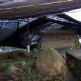 Click para ampliar. Cámara del dolmen de Dombate protegida con tablas.