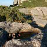 Click para ampliar. Cavidad granítica ovalada en las alturas del Coto de Santa Locaia, Concello de Arteixo (Coruña).